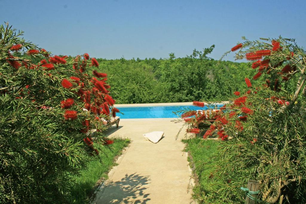 Ormanevi Otantik Hotel Ağva Exterior photo