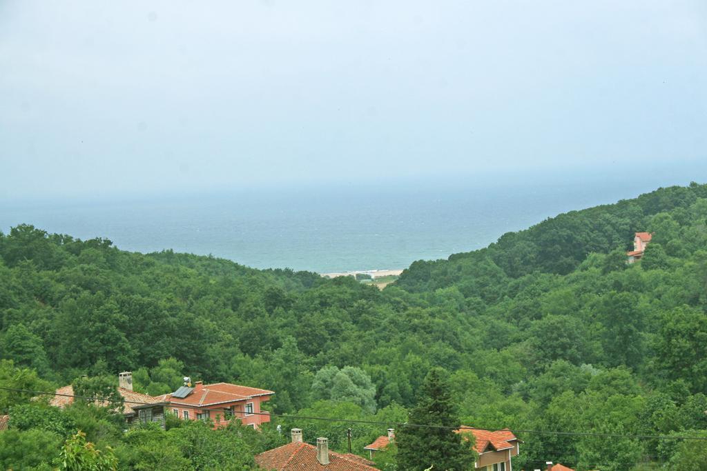 Ormanevi Otantik Hotel Ağva Exterior photo
